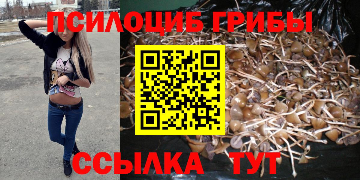 Псилоцибиновые грибы Magic Shrooms  Вход с VPN  Муравленко 